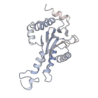 30824_7dr6_e_v1-1
PA28alpha-beta in complex with immunoproteasome