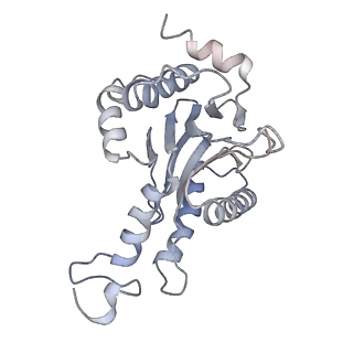 30824_7dr6_e_v1-2
PA28alpha-beta in complex with immunoproteasome