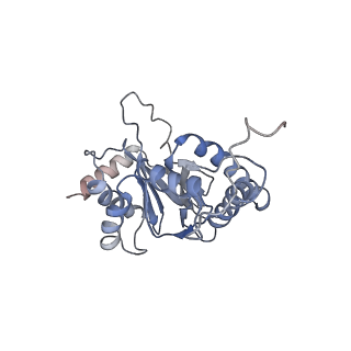 30824_7dr6_g_v1-1
PA28alpha-beta in complex with immunoproteasome