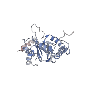 30824_7dr6_g_v1-2
PA28alpha-beta in complex with immunoproteasome