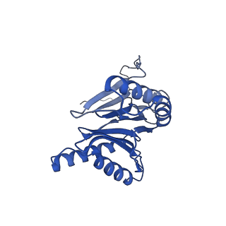 30825_7dr7_1_v1-2
bovine 20S immunoproteasome