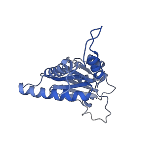 30825_7dr7_A_v1-2
bovine 20S immunoproteasome