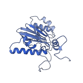 30825_7dr7_B_v1-2
bovine 20S immunoproteasome