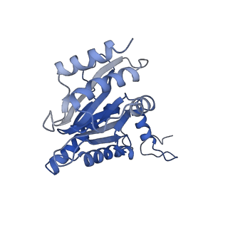 30825_7dr7_D_v1-2
bovine 20S immunoproteasome