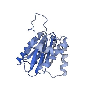 30825_7dr7_E_v1-2
bovine 20S immunoproteasome