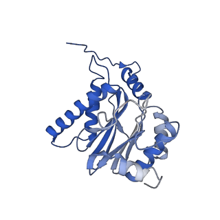 30825_7dr7_F_v1-2
bovine 20S immunoproteasome