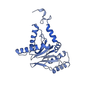 30825_7dr7_G_v1-2
bovine 20S immunoproteasome