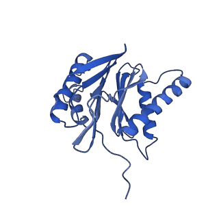 30825_7dr7_J_v1-2
bovine 20S immunoproteasome