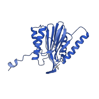 30825_7dr7_K_v1-2
bovine 20S immunoproteasome