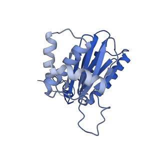 30825_7dr7_L_v1-2
bovine 20S immunoproteasome