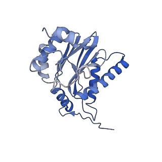 30825_7dr7_M_v1-2
bovine 20S immunoproteasome