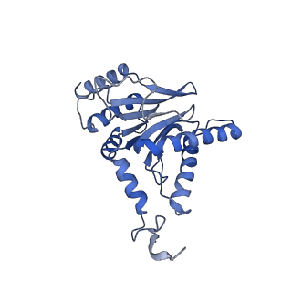 30825_7dr7_N_v1-2
bovine 20S immunoproteasome