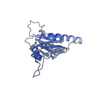 30825_7dr7_O_v1-2
bovine 20S immunoproteasome