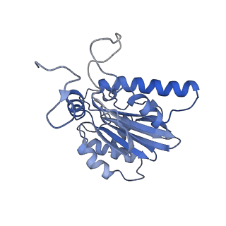 30825_7dr7_P_v1-2
bovine 20S immunoproteasome