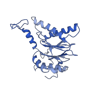 30825_7dr7_Q_v1-2
bovine 20S immunoproteasome