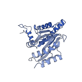 30825_7dr7_R_v1-2
bovine 20S immunoproteasome