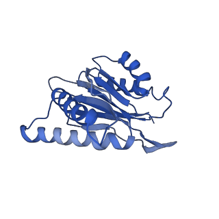 30825_7dr7_T_v1-2
bovine 20S immunoproteasome