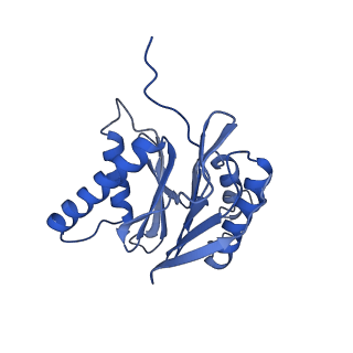 30825_7dr7_U_v1-2
bovine 20S immunoproteasome