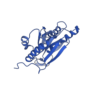 30825_7dr7_W_v1-2
bovine 20S immunoproteasome