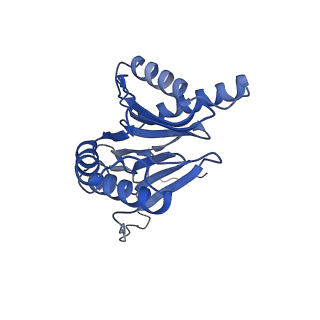 30825_7dr7_X_v1-2
bovine 20S immunoproteasome