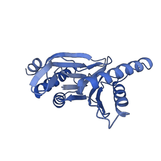 30825_7dr7_Y_v1-2
bovine 20S immunoproteasome