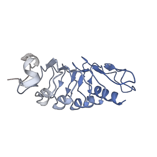 30826_7drc_B_v1-1
Cryo-EM structure of plant receptor like protein RXEG1 in complex with xyloglucanase XEG1 and BAK1