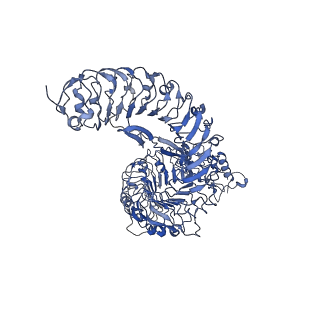 30826_7drc_C_v1-1
Cryo-EM structure of plant receptor like protein RXEG1 in complex with xyloglucanase XEG1 and BAK1