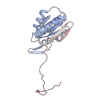 30828_7drw_1_v1-1
Bovine 20S immunoproteasome in complex with two human PA28alpha-beta activators