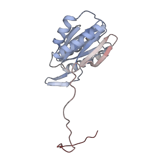 30828_7drw_1_v1-2
Bovine 20S immunoproteasome in complex with two human PA28alpha-beta activators