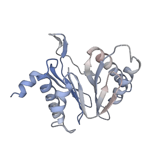 30828_7drw_2_v1-1
Bovine 20S immunoproteasome in complex with two human PA28alpha-beta activators