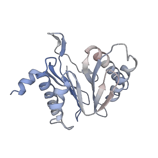 30828_7drw_2_v1-2
Bovine 20S immunoproteasome in complex with two human PA28alpha-beta activators