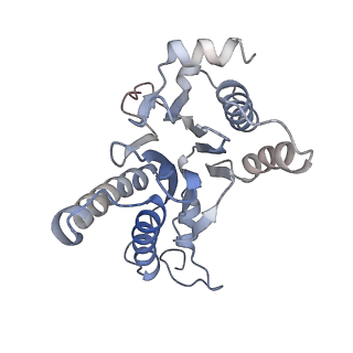 30828_7drw_A_v1-1
Bovine 20S immunoproteasome in complex with two human PA28alpha-beta activators