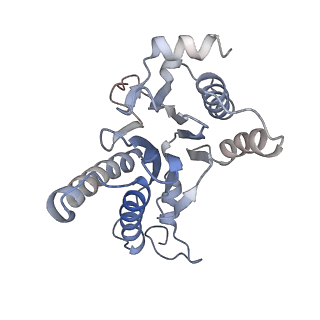 30828_7drw_A_v1-2
Bovine 20S immunoproteasome in complex with two human PA28alpha-beta activators