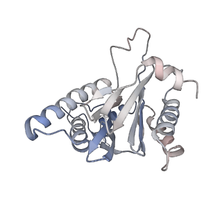 30828_7drw_B_v1-1
Bovine 20S immunoproteasome in complex with two human PA28alpha-beta activators