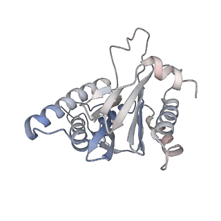 30828_7drw_B_v1-2
Bovine 20S immunoproteasome in complex with two human PA28alpha-beta activators