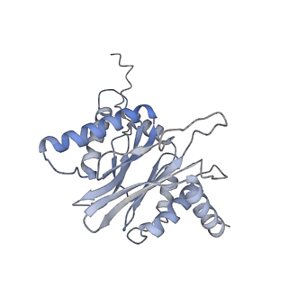 30828_7drw_C_v1-1
Bovine 20S immunoproteasome in complex with two human PA28alpha-beta activators