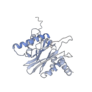 30828_7drw_C_v1-2
Bovine 20S immunoproteasome in complex with two human PA28alpha-beta activators