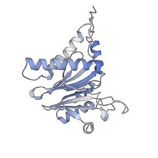 30828_7drw_D_v1-1
Bovine 20S immunoproteasome in complex with two human PA28alpha-beta activators