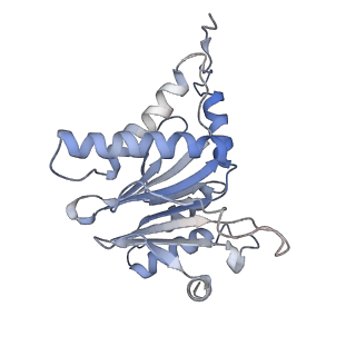 30828_7drw_D_v1-2
Bovine 20S immunoproteasome in complex with two human PA28alpha-beta activators