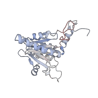30828_7drw_E_v1-1
Bovine 20S immunoproteasome in complex with two human PA28alpha-beta activators