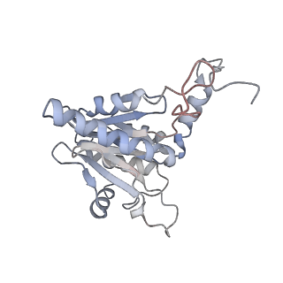 30828_7drw_E_v1-2
Bovine 20S immunoproteasome in complex with two human PA28alpha-beta activators