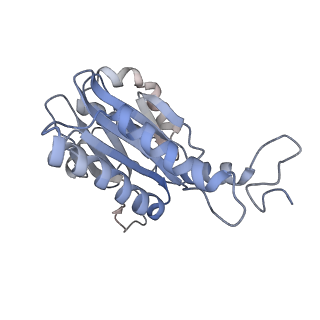 30828_7drw_F_v1-1
Bovine 20S immunoproteasome in complex with two human PA28alpha-beta activators