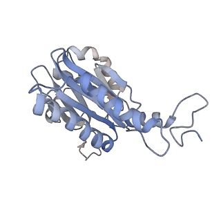 30828_7drw_F_v1-2
Bovine 20S immunoproteasome in complex with two human PA28alpha-beta activators