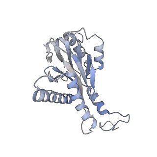 30828_7drw_G_v1-1
Bovine 20S immunoproteasome in complex with two human PA28alpha-beta activators