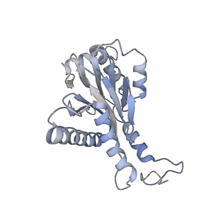 30828_7drw_G_v1-2
Bovine 20S immunoproteasome in complex with two human PA28alpha-beta activators