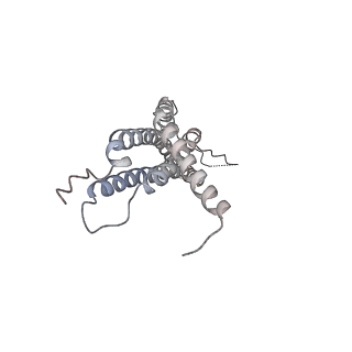 30828_7drw_H_v1-1
Bovine 20S immunoproteasome in complex with two human PA28alpha-beta activators