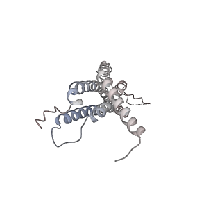 30828_7drw_H_v1-2
Bovine 20S immunoproteasome in complex with two human PA28alpha-beta activators