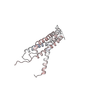 30828_7drw_I_v1-1
Bovine 20S immunoproteasome in complex with two human PA28alpha-beta activators