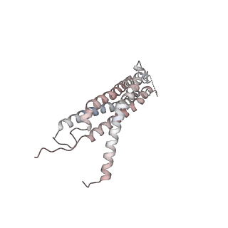 30828_7drw_I_v1-2
Bovine 20S immunoproteasome in complex with two human PA28alpha-beta activators