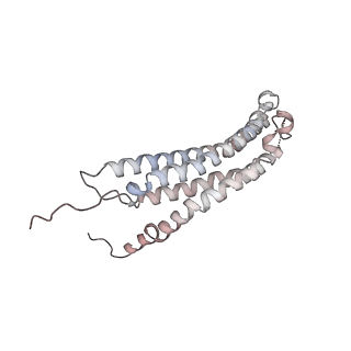 30828_7drw_K_v1-2
Bovine 20S immunoproteasome in complex with two human PA28alpha-beta activators